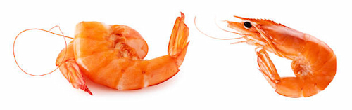 خرید و فروش میگو پرورشی سایز 70